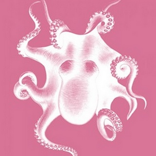 Octopus White on Pink c