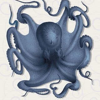 Octopus 5