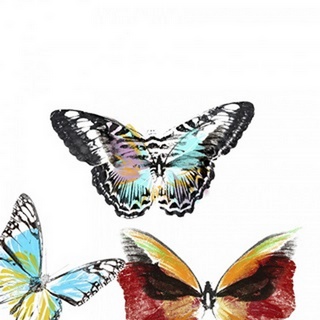 Butterflies Dance II