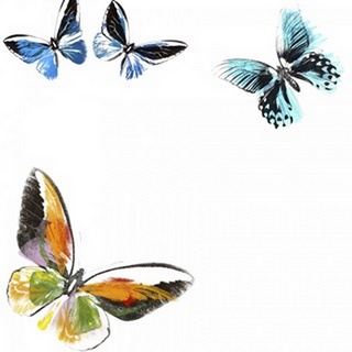 Butterflies Dance VII