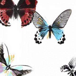 Butterflies Dance I