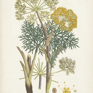 Saffron Botanicals I