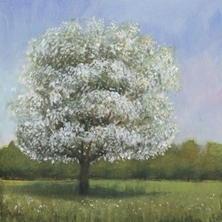 Spring Blossom Tree I