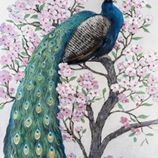 Peacock and Blossom II