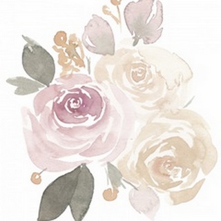 Soft Roses III