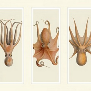 Trio of Octopus on 3 Panels
