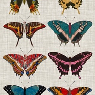 Polychrome Butterflies I