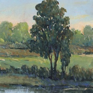 Tree by the Riverbank I
