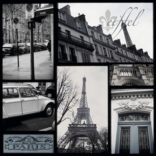 Snapshots of Paris