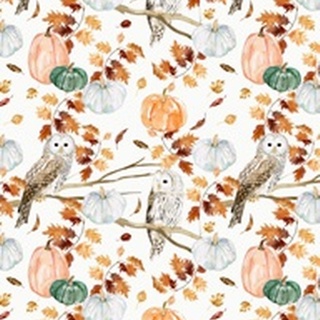 Harvest Owl Collection E