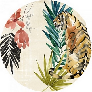 Jungle Composition Collection C