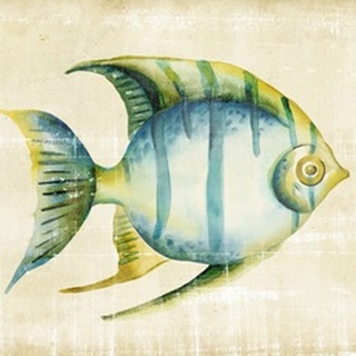 Aquarium Fish I