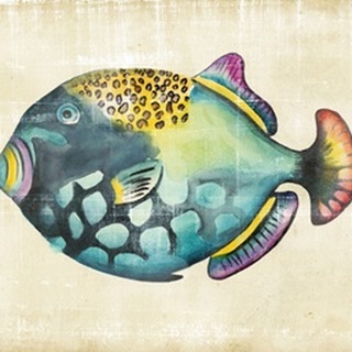 Aquarium Fish IV