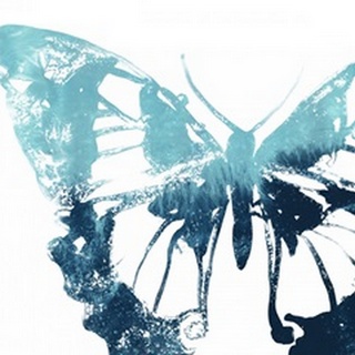 Butterfly Imprint I