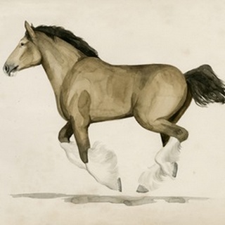 Clydesdale II