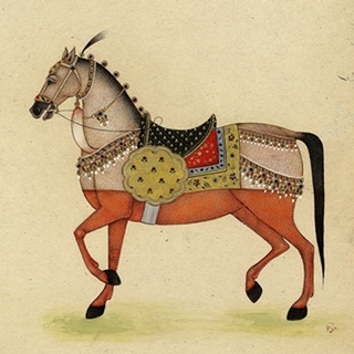 Horse from India I