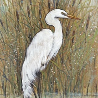 White Egret II