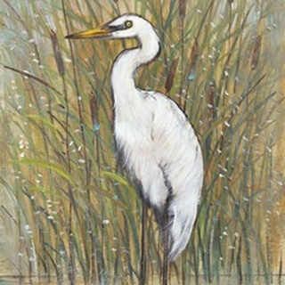 White Egret I
