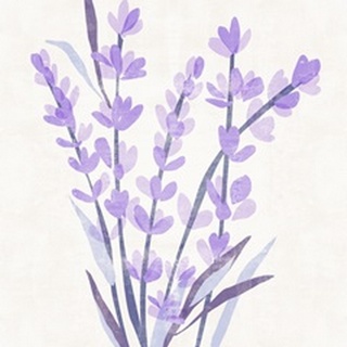 Lavender Land I