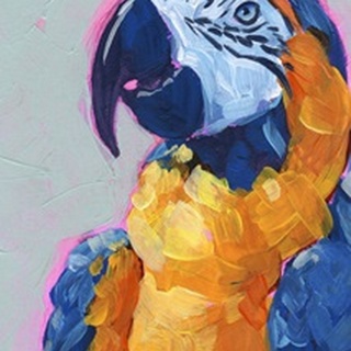 Pop Art Parrot I