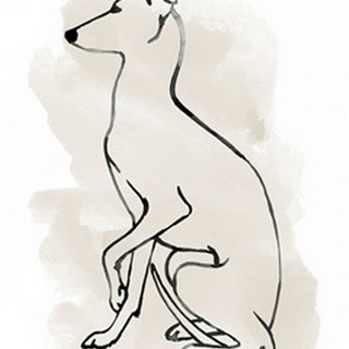 Greyhound Sketch II