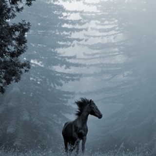 Horse in the Trees I