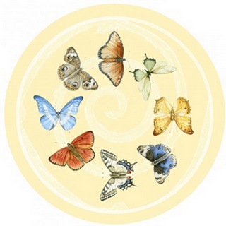 Butterfly Garden Collection G