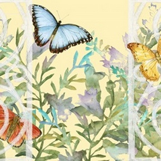 Butterfly Garden Collection A