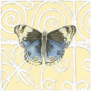 Butterfly Garden Collection D