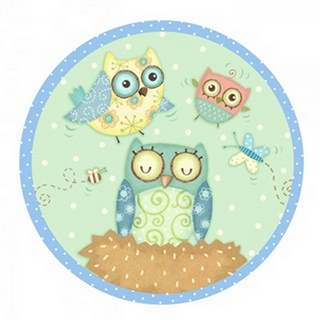 Baby Owl Collection C