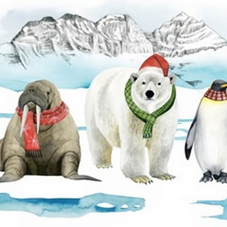 Arctic Animal Collection A