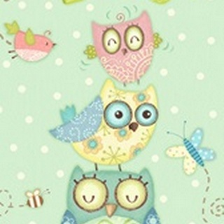 Baby Owl Collection B