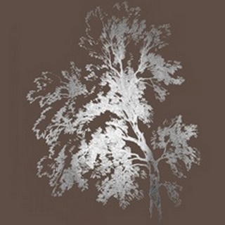Silver Foil Ash Tree I on Bitter Chocolate