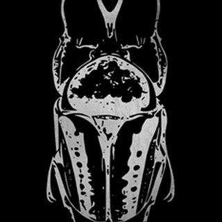 Silver Foil Beetle IV on Black