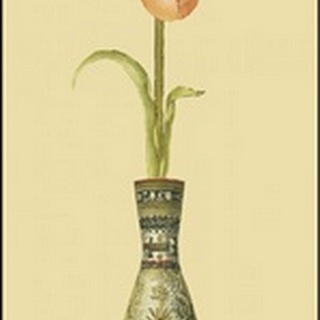 Tulip in Vase II