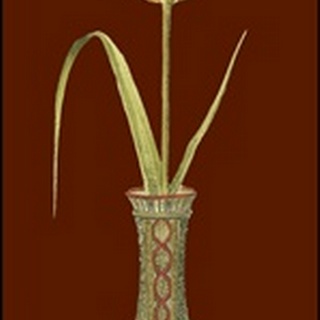 Tulip in Vase IV