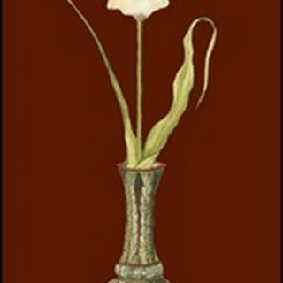 Tulip in Vase III