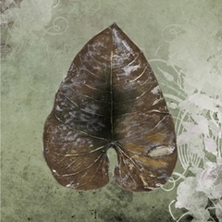 Dry Leaf II