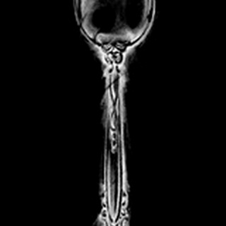 Ornate Cutlery on Black II
