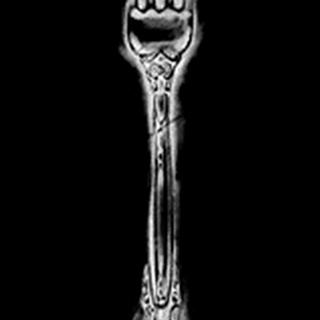 Ornate Cutlery on Black I