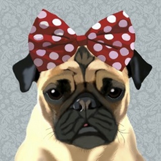Pug with Red Spotty Bow On Head