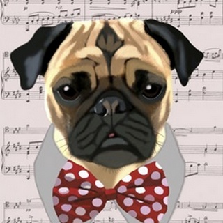 Pug with Red and White Spotty Bow Tie