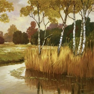 Reeds, Birches and Water II