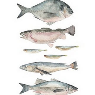 Fish Composition II