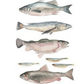 Fish Composition I