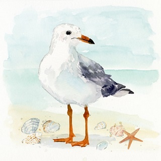 Sandy the Seagull I