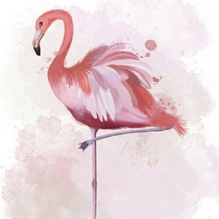 Fluffy Flamingo 4