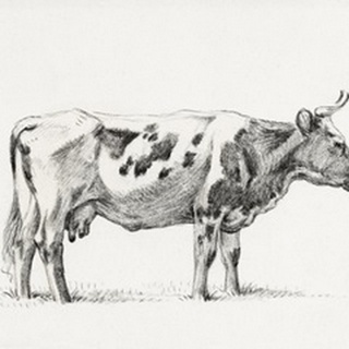 Bernard Cow Sketch III