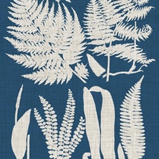 Linen and Blue Ferns I