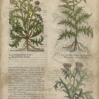 Gardener's Journal IV